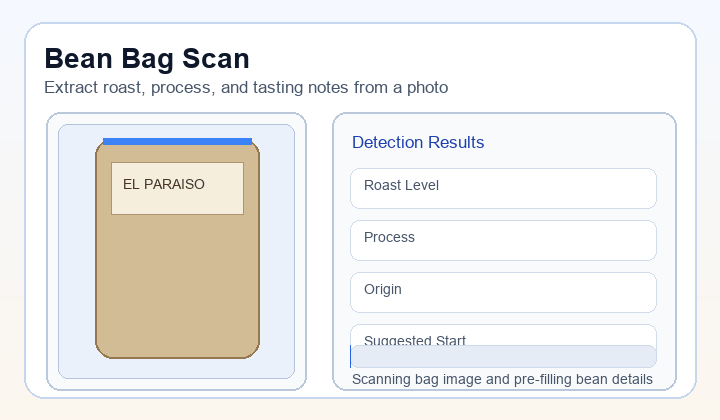 Bean bag scan and auto-detected fields animation